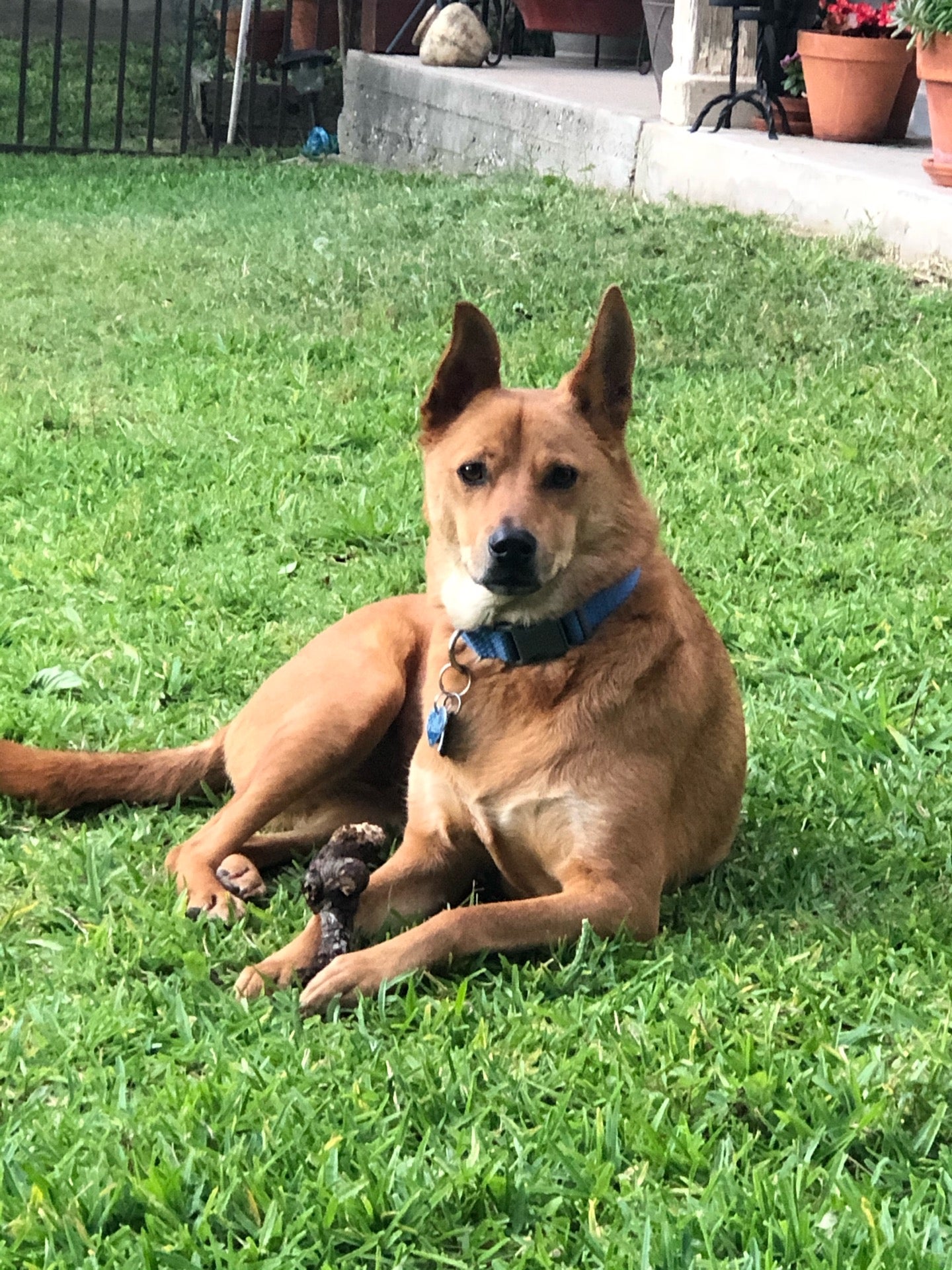 Crystal Falls Village, 202 Crystal Falls Pkwy, Leander, TX MapQuest