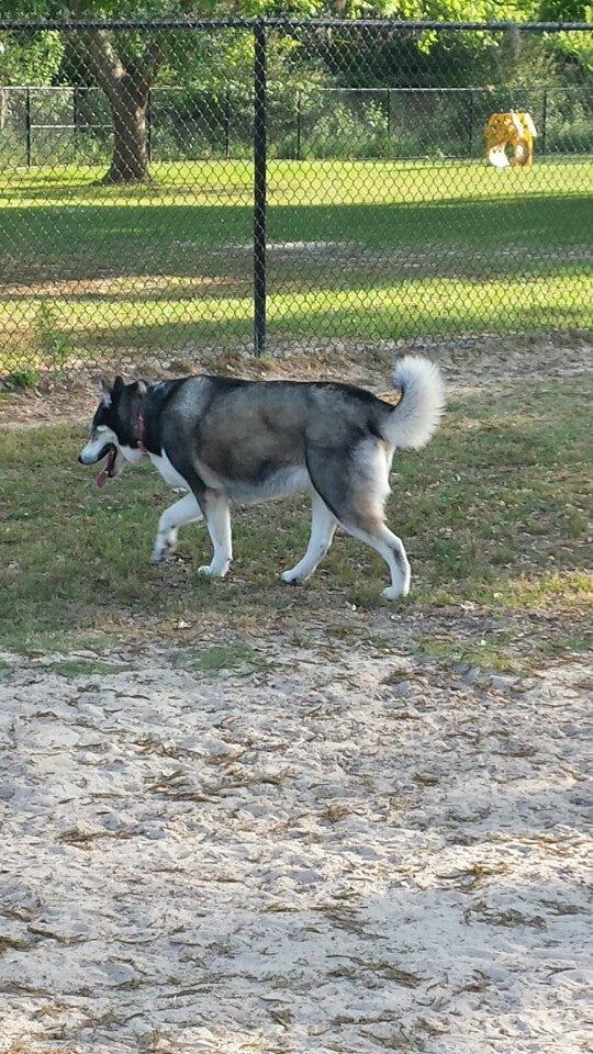 Freedom Dog Park, Valdosta, GA, Parks MapQuest