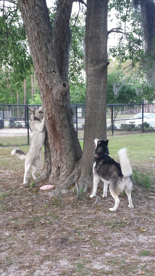 Freedom Dog Park, Valdosta, GA, Parks MapQuest