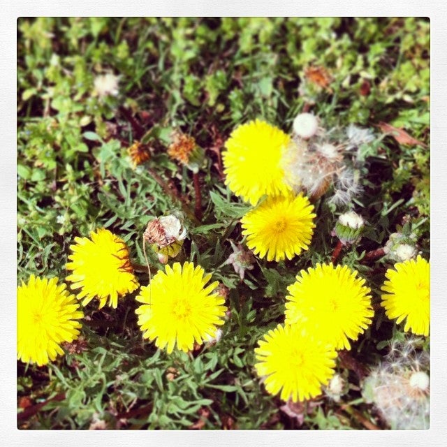 Thornburg, VA Map & Directions MapQuest