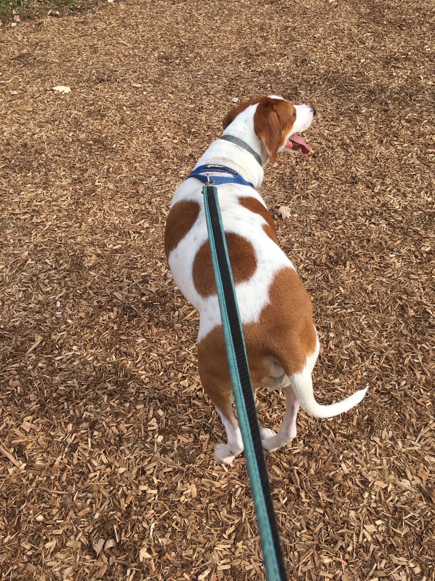 Basking Ridge, NJ Map & Directions MapQuest