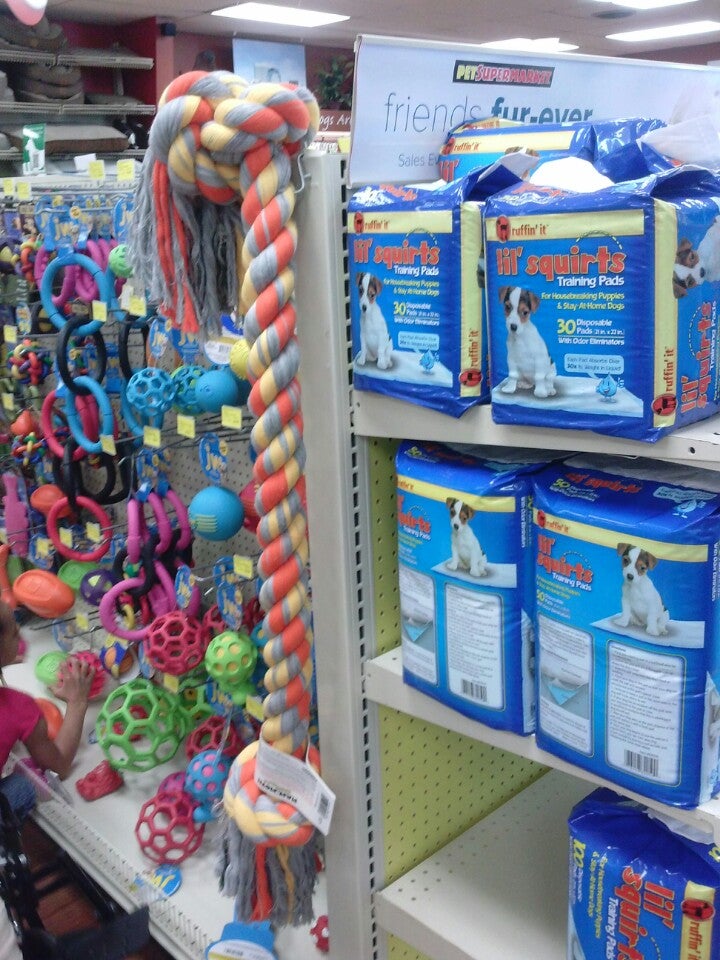 PetBright  Where the Cool Pets Shop - Pet Supply Store in Jacksonville, FL