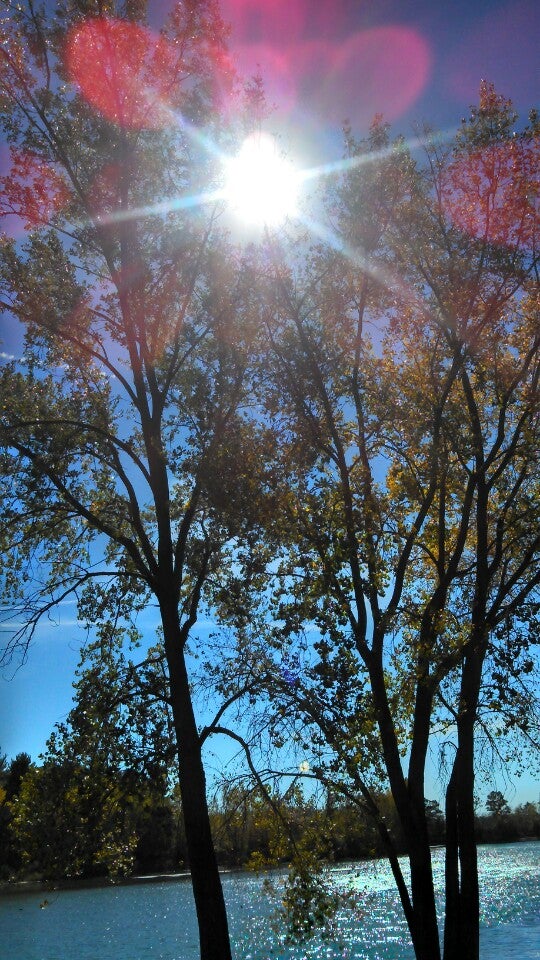 Rogers Park, Hofmeister Dr, Stevens Point, WI MapQuest