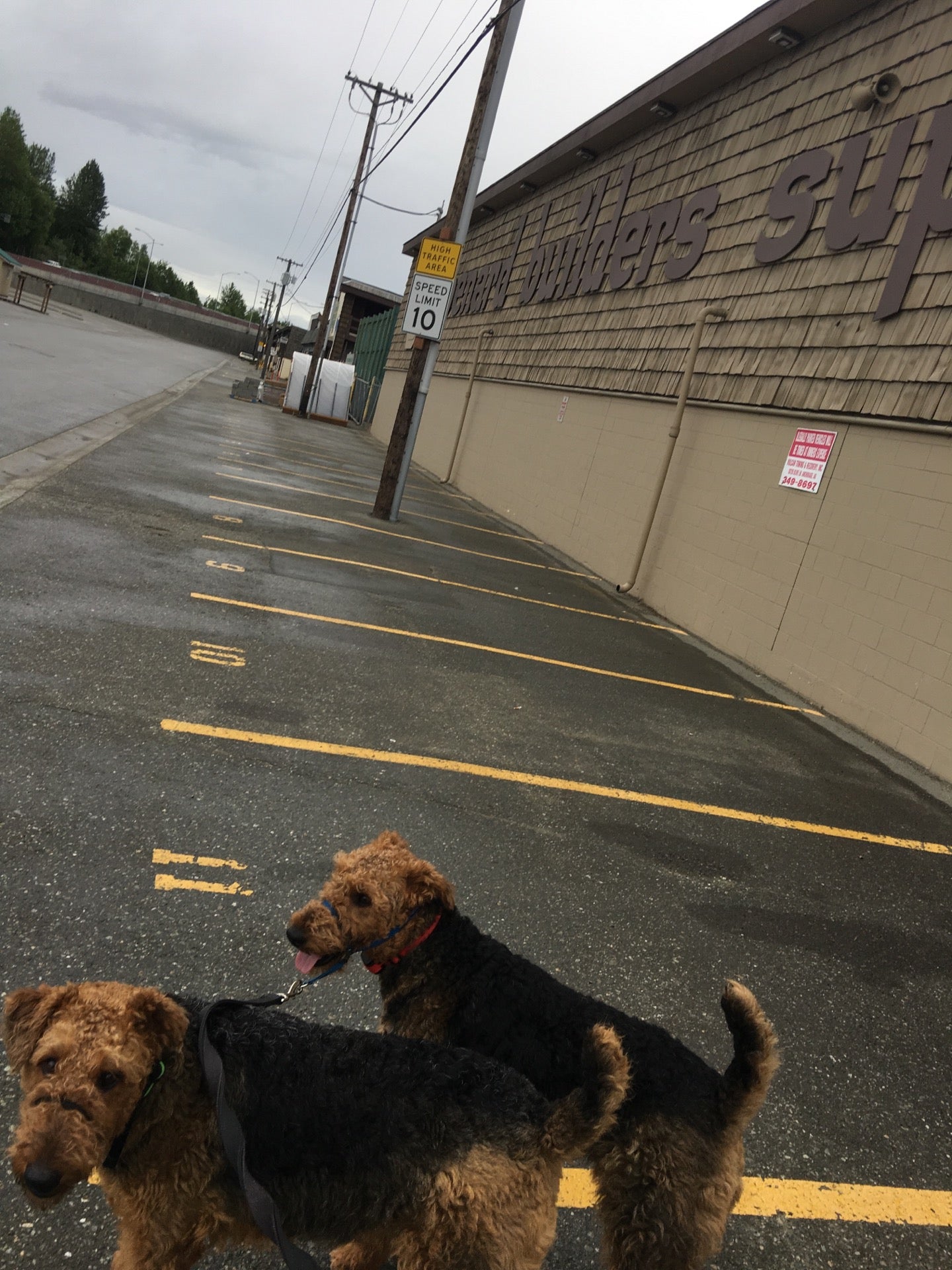 Spenard Builders Supply, 4412 Lois Dr, Anchorage, AK, Retail Shops -  MapQuest