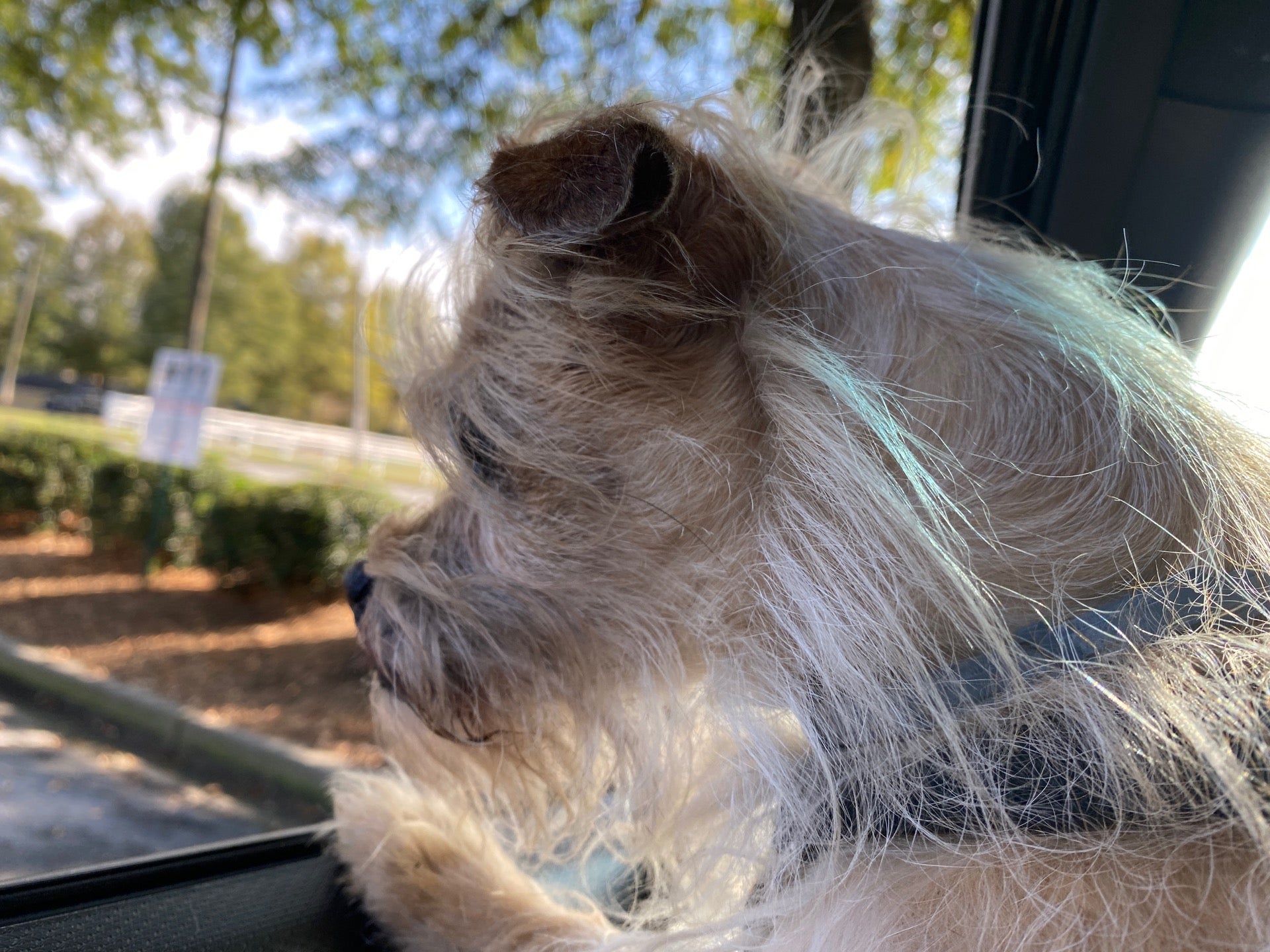 Upstate Vet Emergency & Specialty Care Greenville, 393 Woods Lake