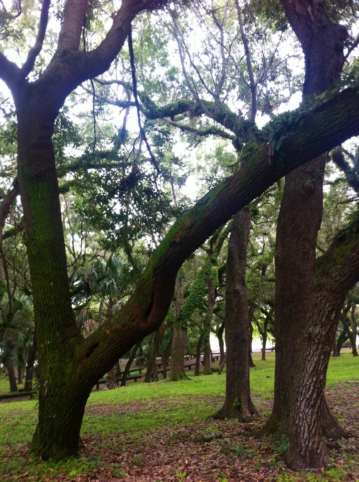 Enchanted Forest Elaine Gordon Park, NE 135TH St, North Miami, FL