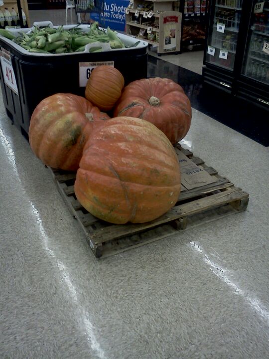 Bashas', 3360 E Andy Devine Ave, Kingman, AZ, Grocery Stores MapQuest