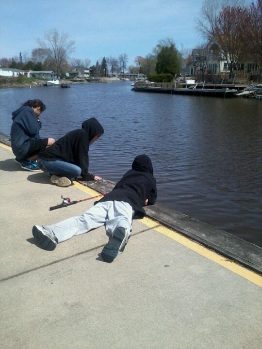 The Suamico River Bear Dock, Riverside Drive, Suamico, WI, Marinas