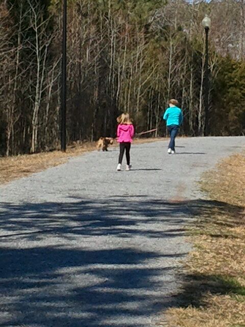 Adairsville, GA Map & Directions - MapQuest