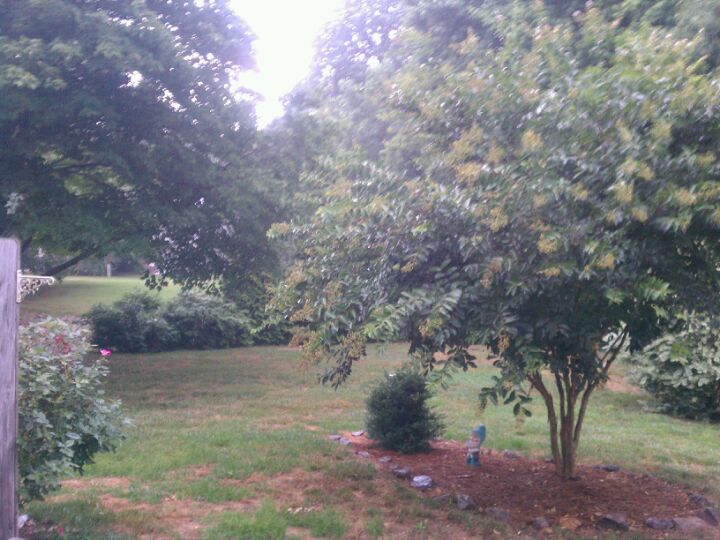 Cottages Of Stonehenge, 7600 Falcon Rest Cir, Raleigh, NC, Residential