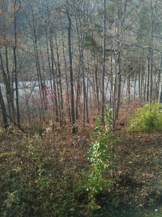 Mount Olivet, KY Map & Directions MapQuest