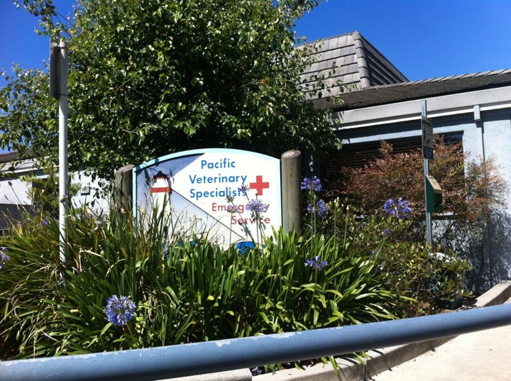 Pacific and Santa Cruz Veterinary Specialists 2585 Soquel Drive