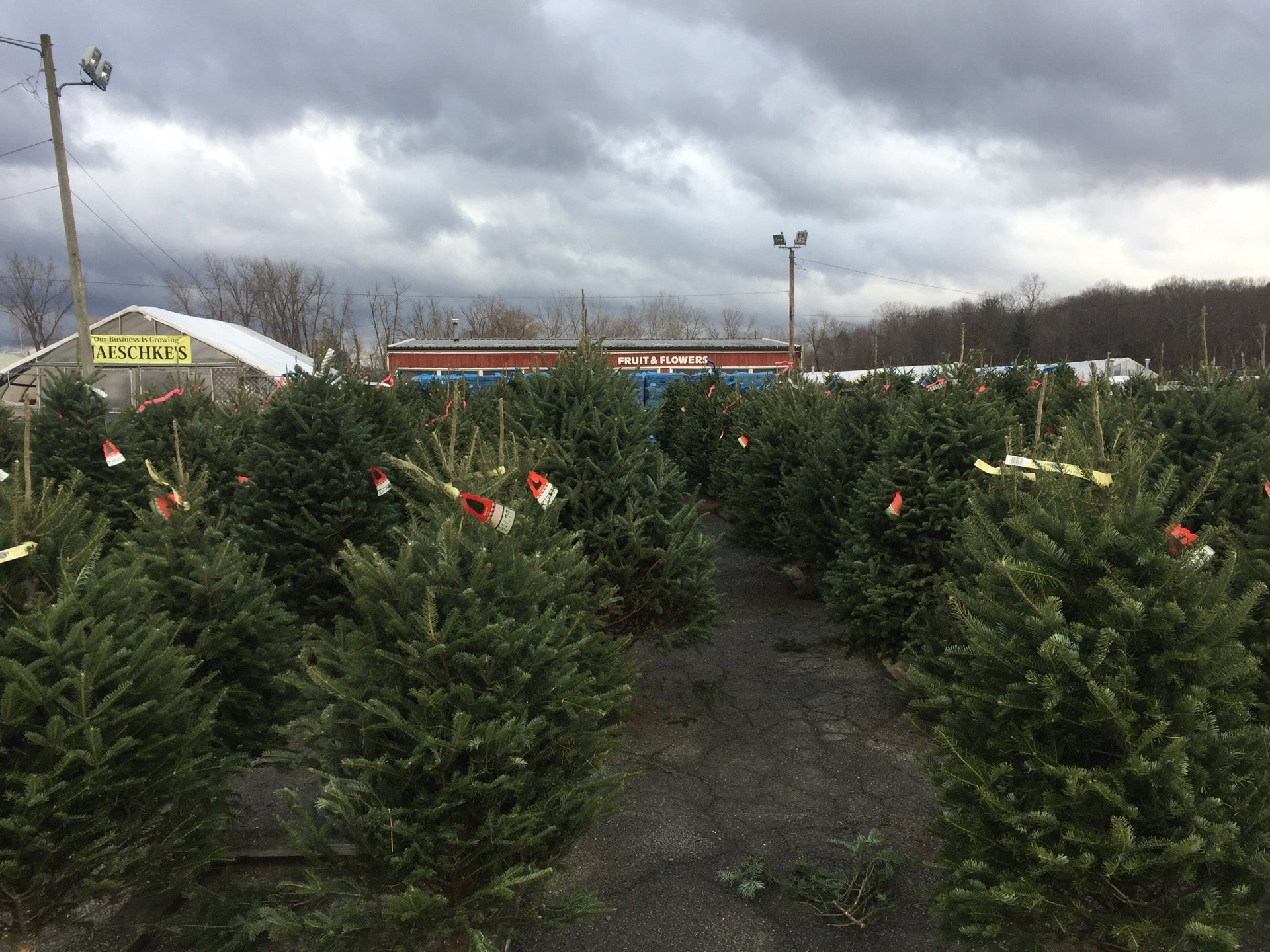 Jaeschke Fruit & Flowers Center, 736 Crane Ave, Pittsfield, MA MapQuest