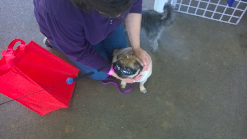 Harford County Equestrian Center, 608 Tollgate Rd, Bel Air, MD MapQuest