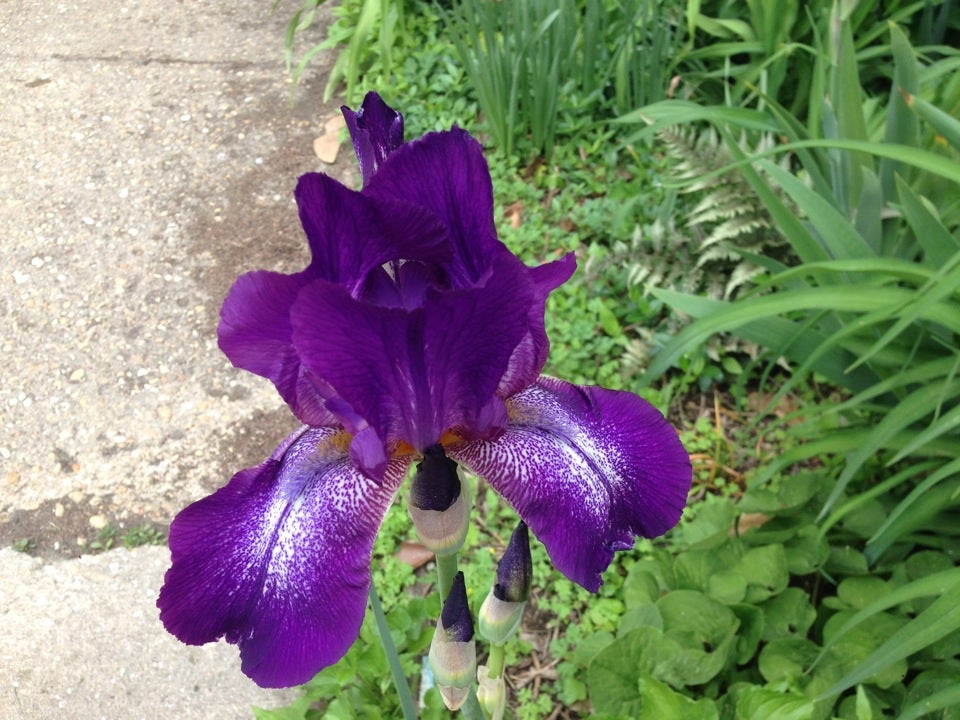 Worton, MD Map & Directions MapQuest