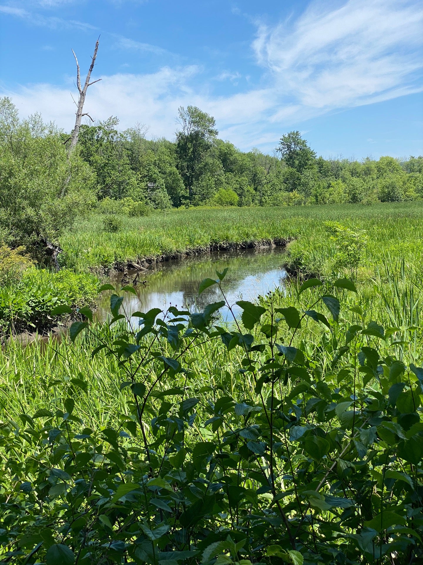 Catskill, NY Map & Directions MapQuest