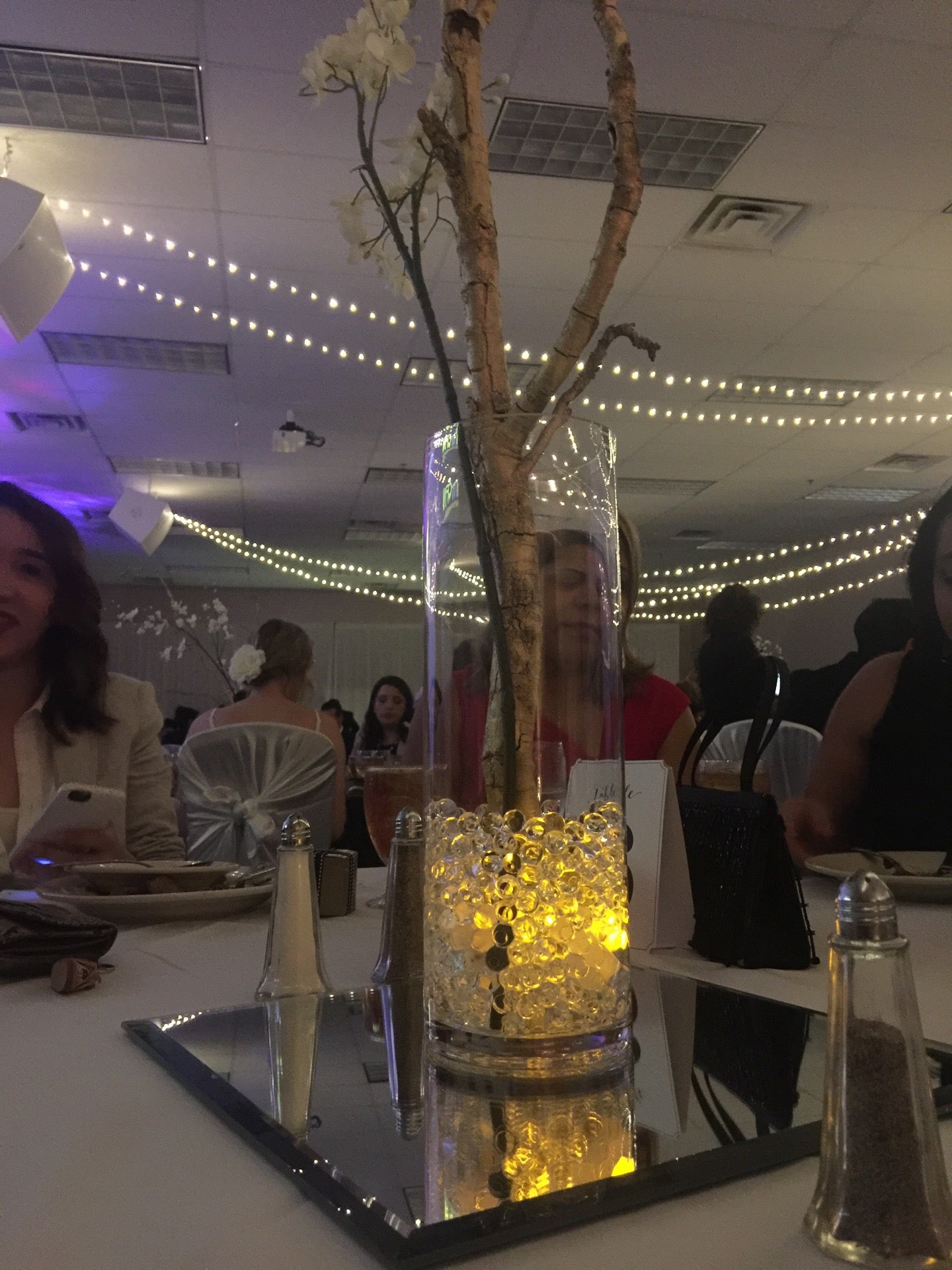 Christ For The Nations Bookstore, 350 W Kiest Blvd, Dallas, TX, Book