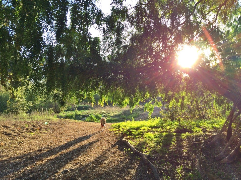 Switzer Canyon, 30th St, San Diego, CA, Parks MapQuest