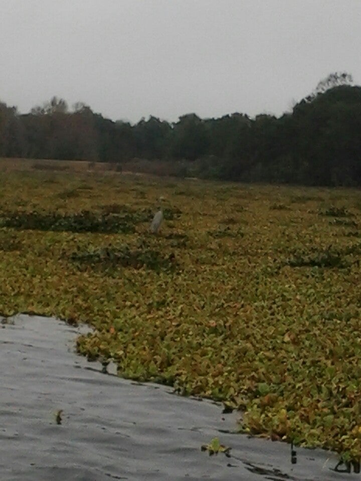 Rodman Dam, Rodman Dam Road, Palatka, FL MapQuest