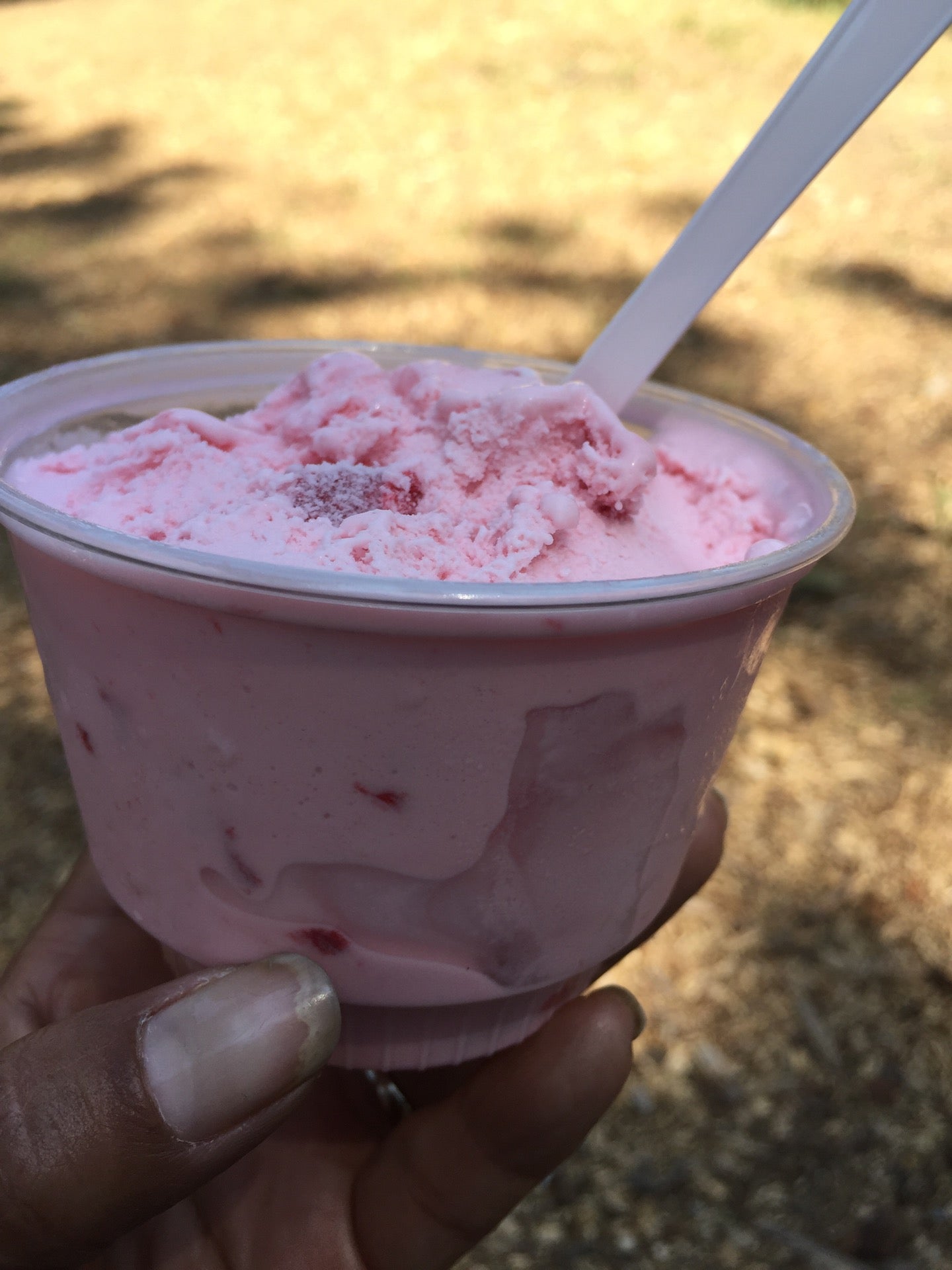 Richardsons Ice Cream Parlor, 1900 Jameson Beach Rd, South Lake Tahoe