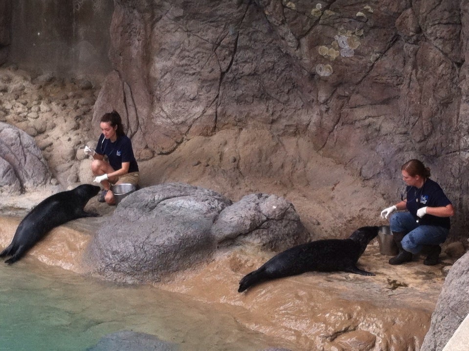 Seals and Sea Lions Exhibit, 4401 Zoo Pkwy, Asheboro, NC, Zoos MapQuest