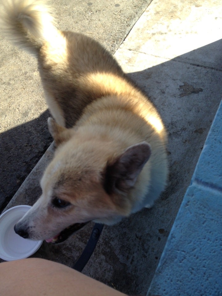 Dairy Cup of Mount Carmel, 110 Main St E, Mount Carmel, TN MapQuest