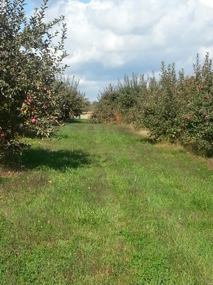 Macy, IN Map & Directions MapQuest