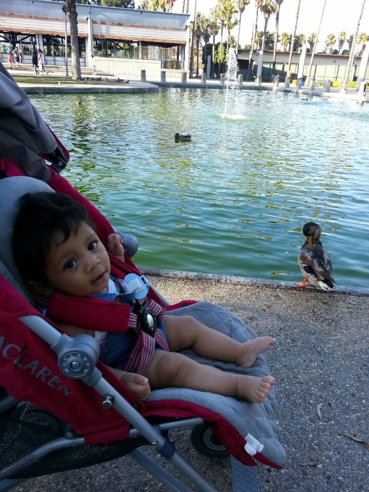 Wilson Park Swing and Slide Area, Windemere on the Green Condos