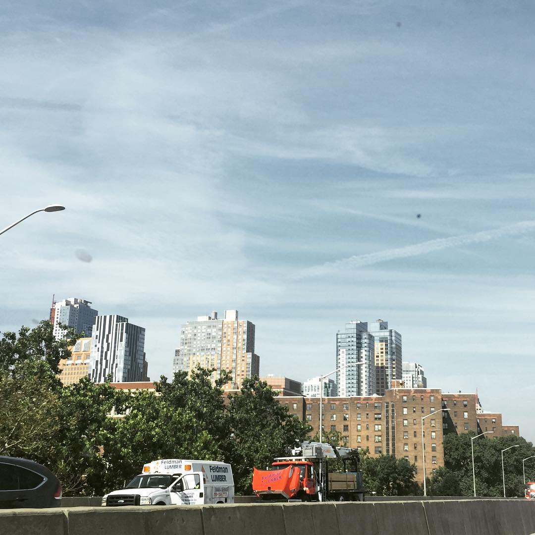 Ingersoll Houses NYCHA, 102 Monument Walk, Brooklyn, NY, Housing