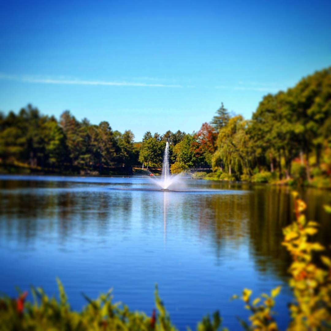 Shoe Pond, McKay St, Beverly, MA MapQuest