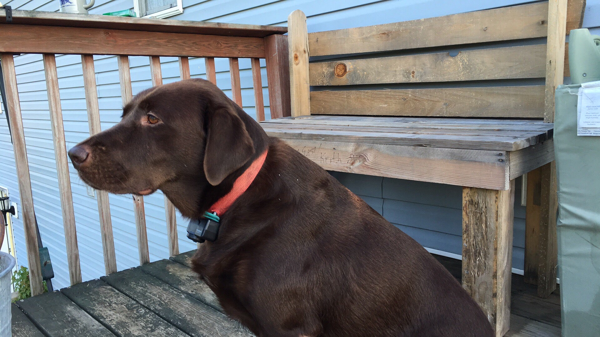 Feeders Supply Dixie Highway, 10948 Dixie Hwy, Louisville, KY, Pet