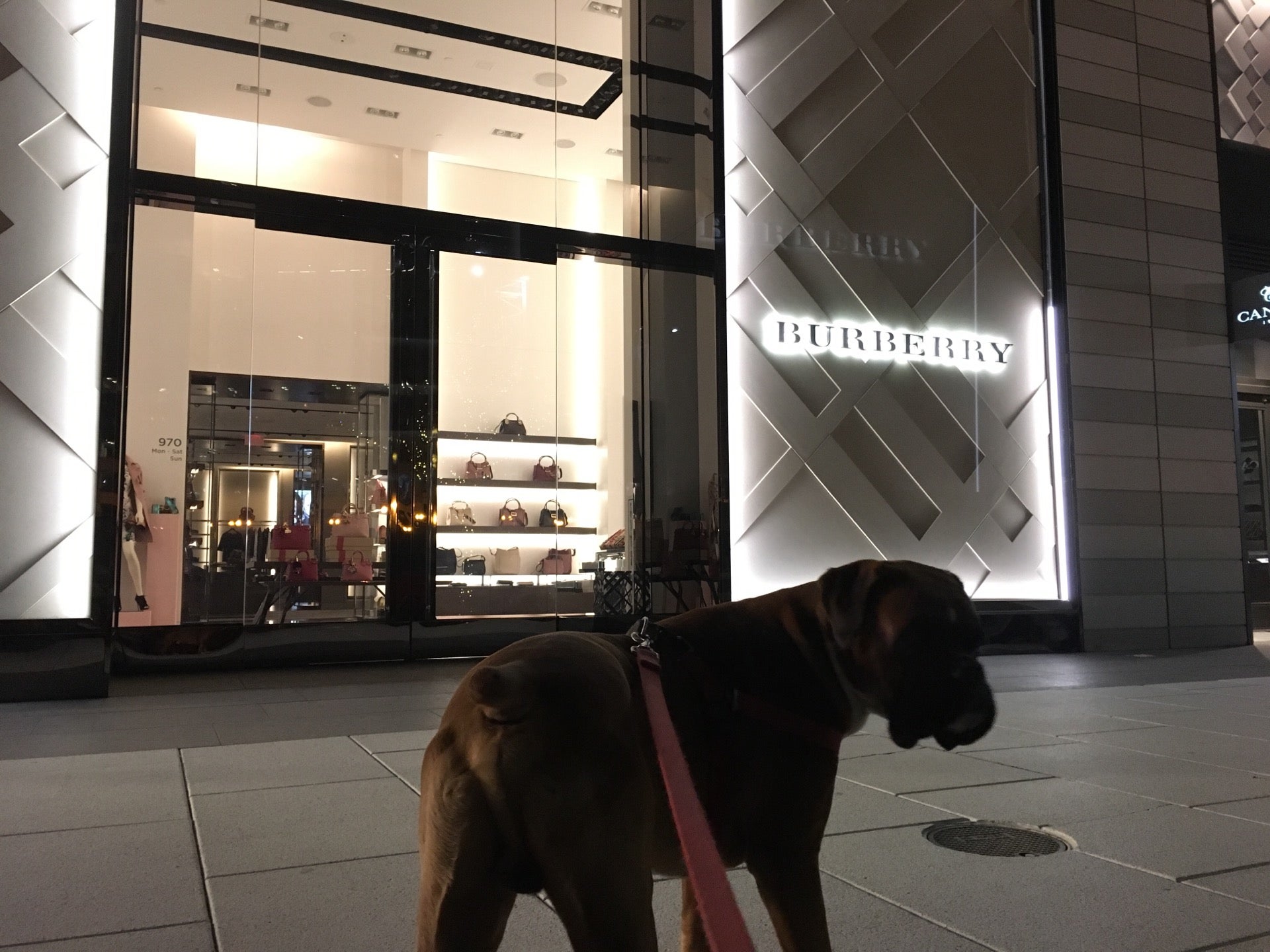 Burberry shop store dc