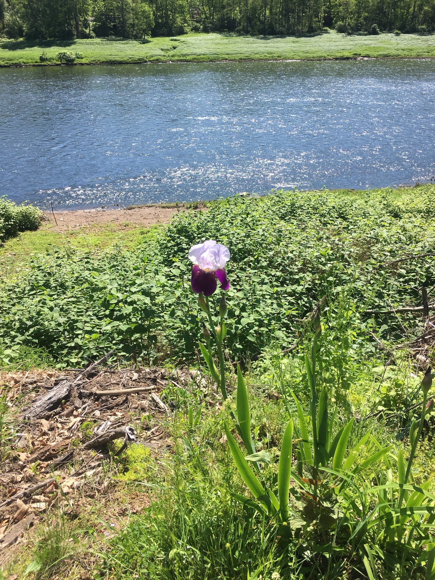 Narrowsburg, NY Map & Directions MapQuest