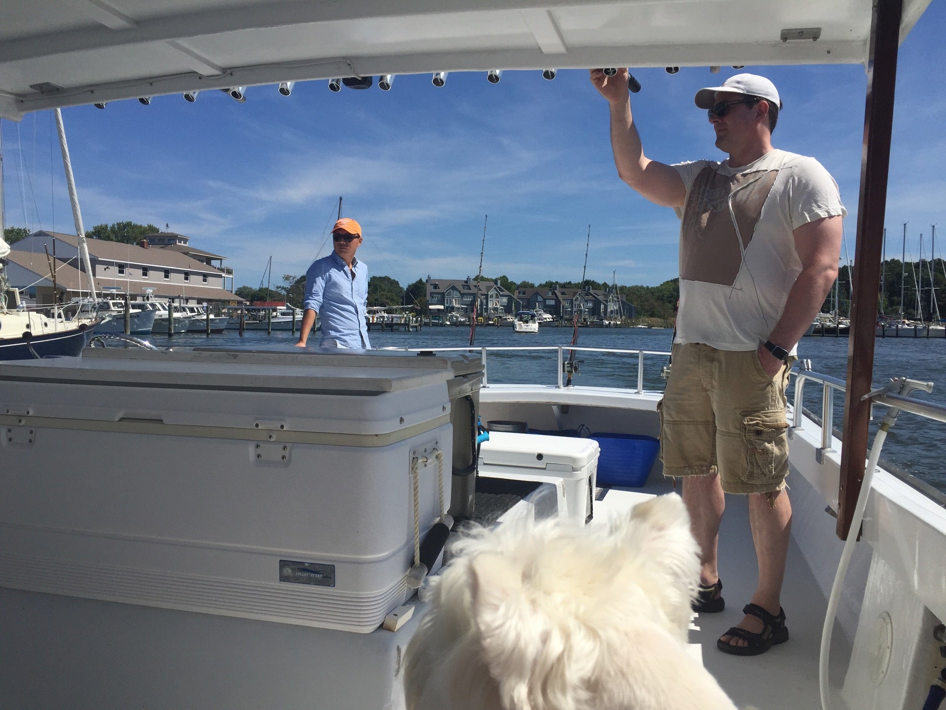 Rock Hall Landing Marina, 5657 S Hawthorne Ave, Rock Hall, MD, Marinas