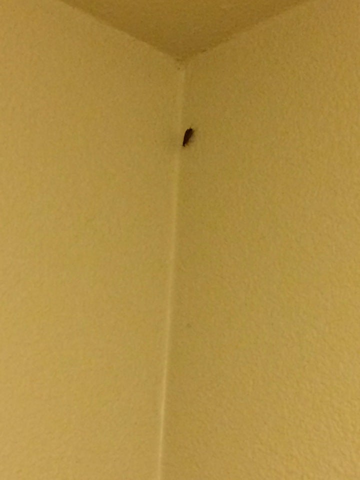 Toulminville, AL Map & Directions MapQuest