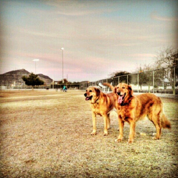 Rose Mofford Dog Park, 9625 N 25th Pl, Phoenix, AZ, Parks MapQuest