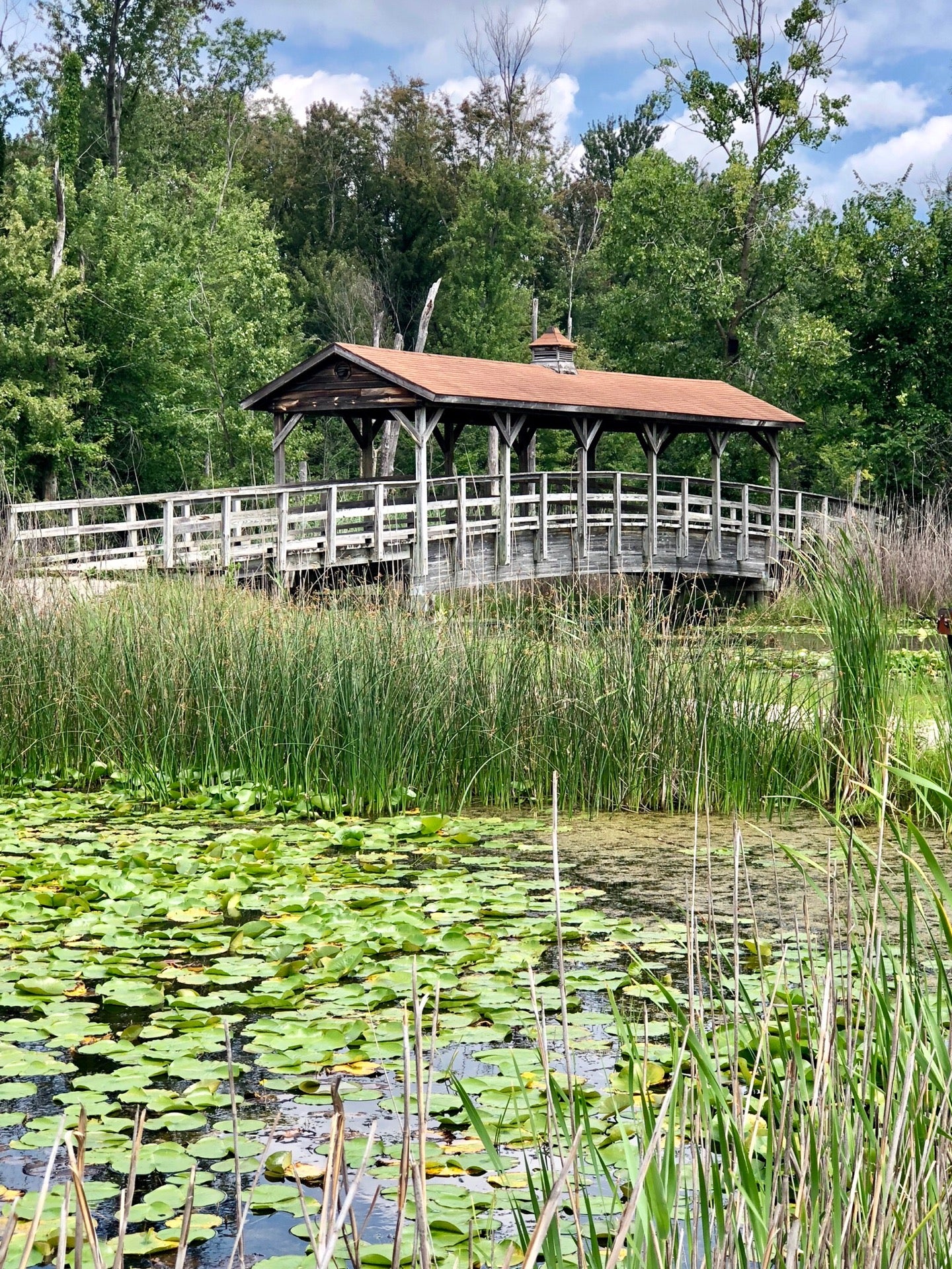 Robert H. Long Nature Park