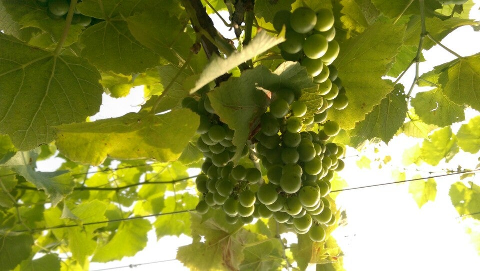 Butler, KY Map & Directions MapQuest