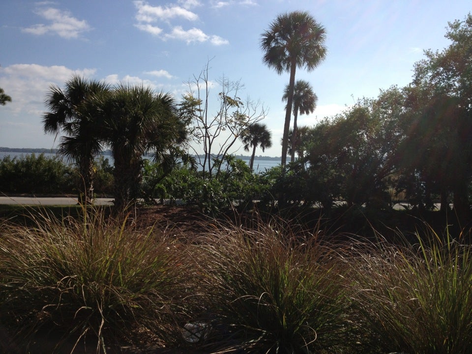 A Novel Cup, 308 Forrest Ave, Cocoa, FL MapQuest