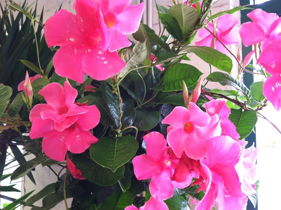 Metropolitan Wholesale, 285 N Midland Ave, Saddle Brook Twp, NJ