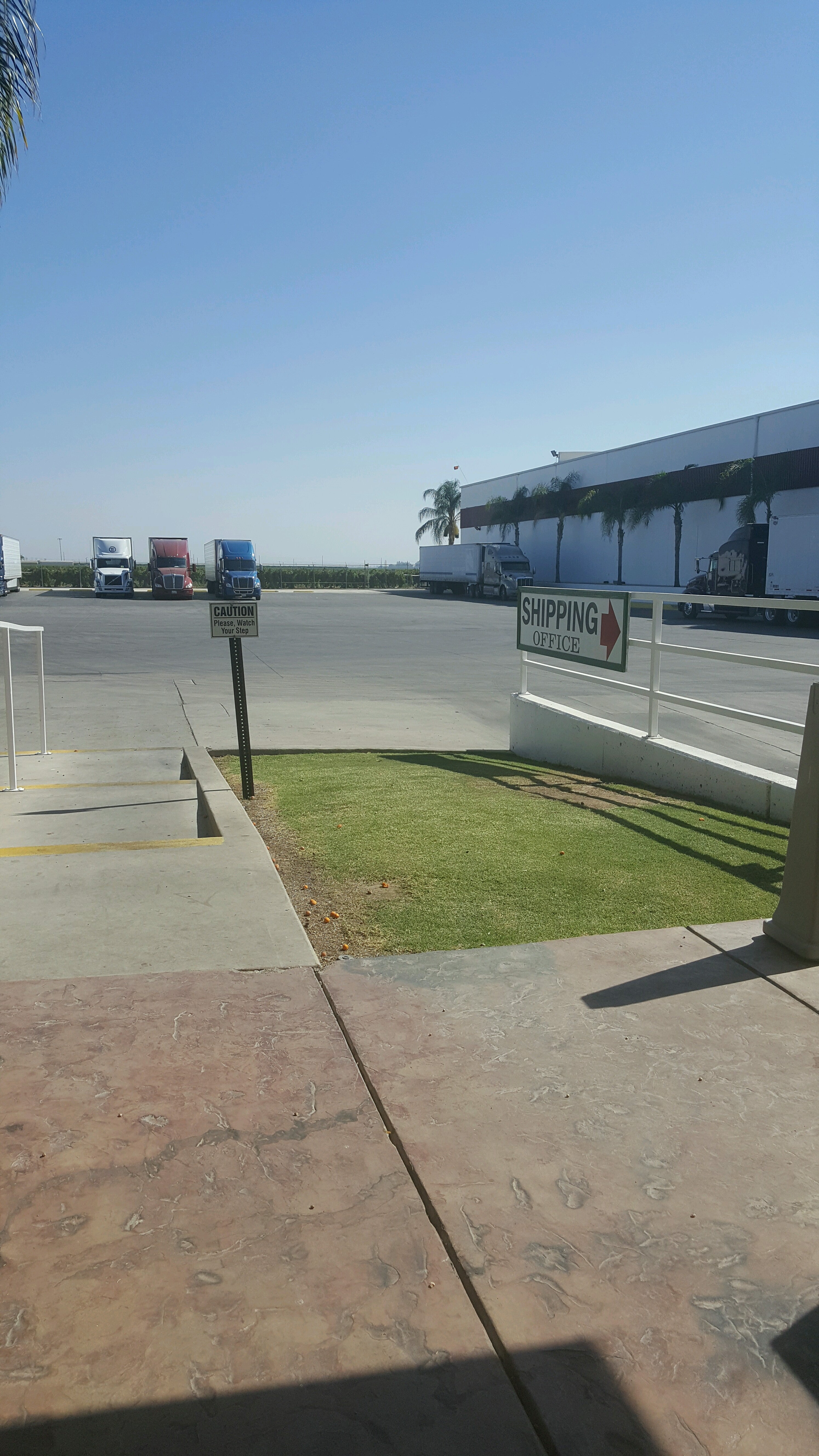 Delano Farming, 10025 Reed Rd, Delano, CA, Gourmet Shops MapQuest