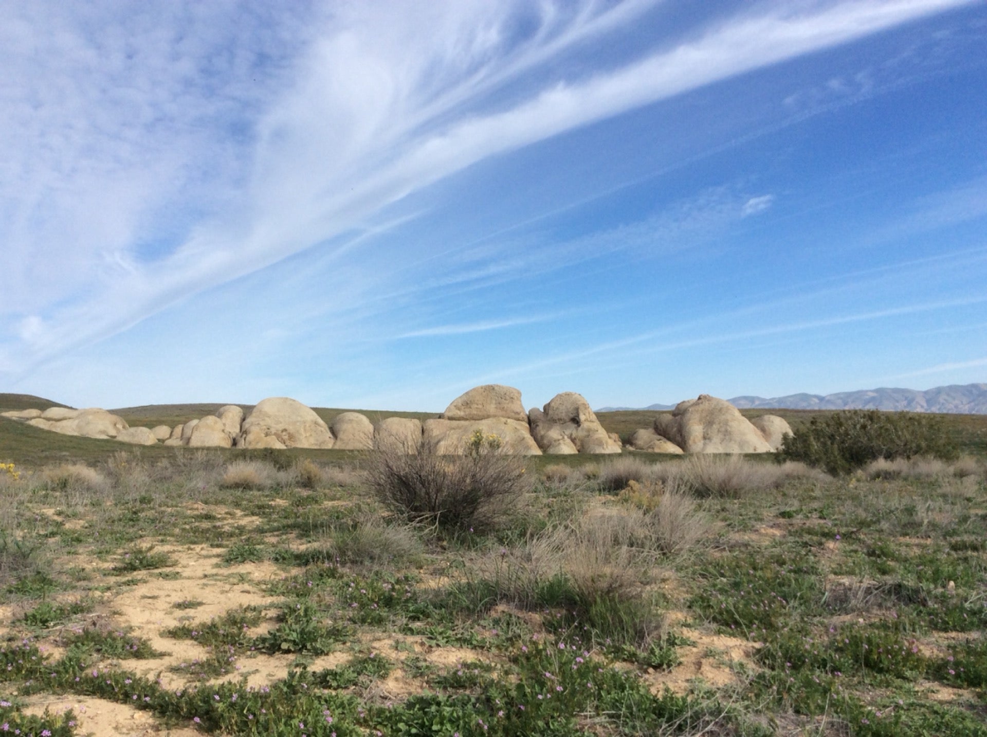 Carrizo Plain National Monument, Soda Lake Rd, Santa Margarita, CA ...