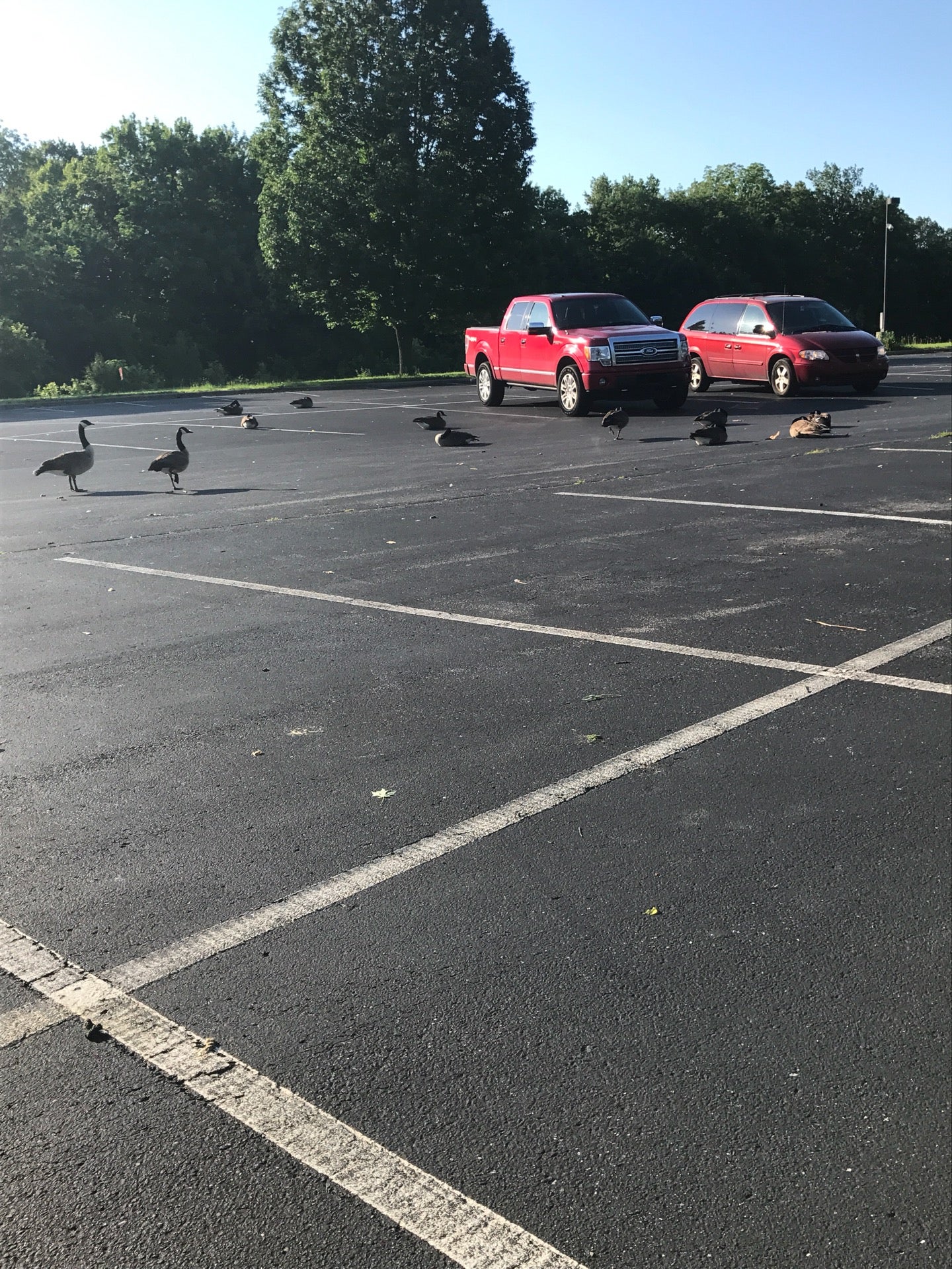 Evansville State Hospital, 3400 Lincoln Ave, Evansville, IN MapQuest