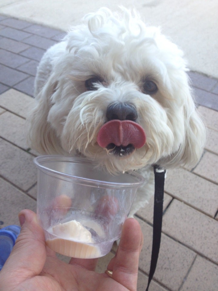 Durand, MI Map & Directions MapQuest