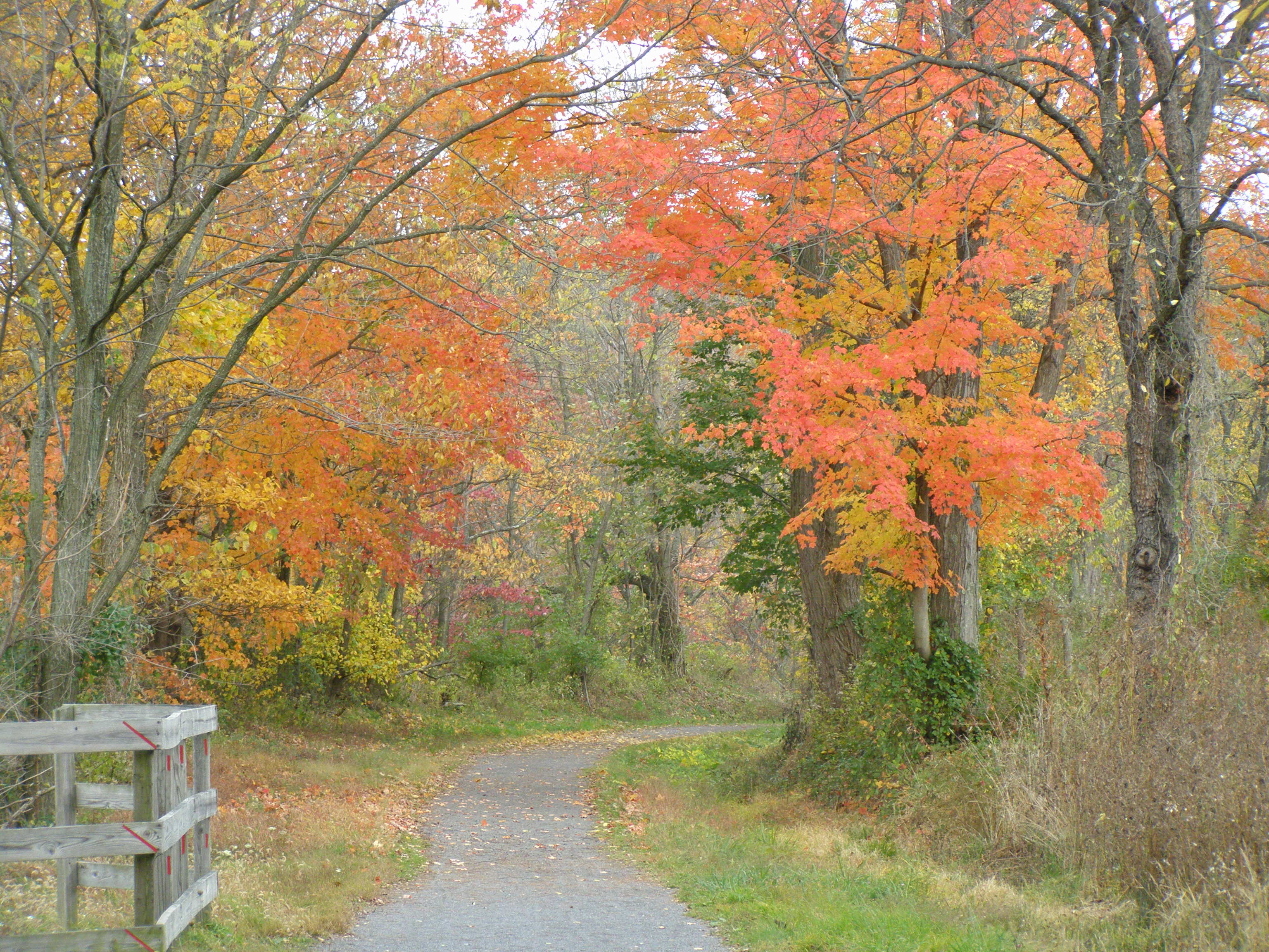 Deckers Creek Rail Trail at Breakiron Hill Rd, Pixler Hill Rd
