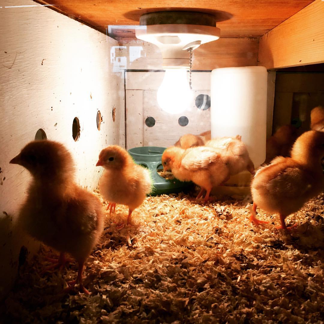 Farm King Supply, 800 Tenney St, Kewanee, IL MapQuest