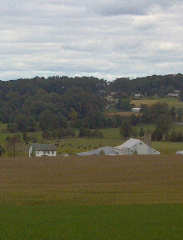 Lynn Kline Farm, 1836 Kline Rd, Elverson, PA, Dairies MapQuest