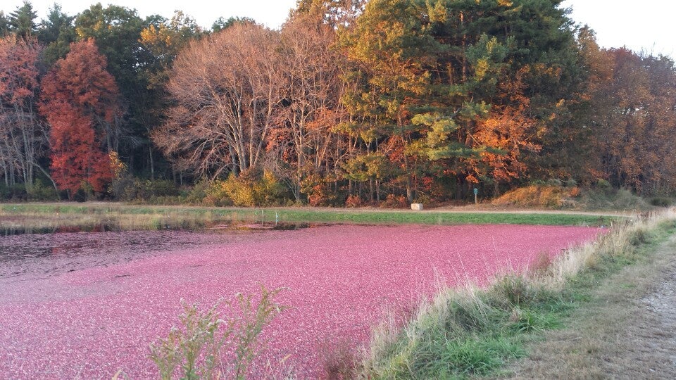 Carlisle, MA Map & Directions MapQuest