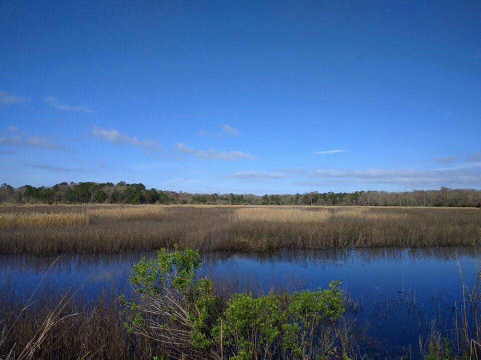 Caw Caw County Park, 5200 Savannah Hwy, Ravenel, Sc, Landmark - Mapquest