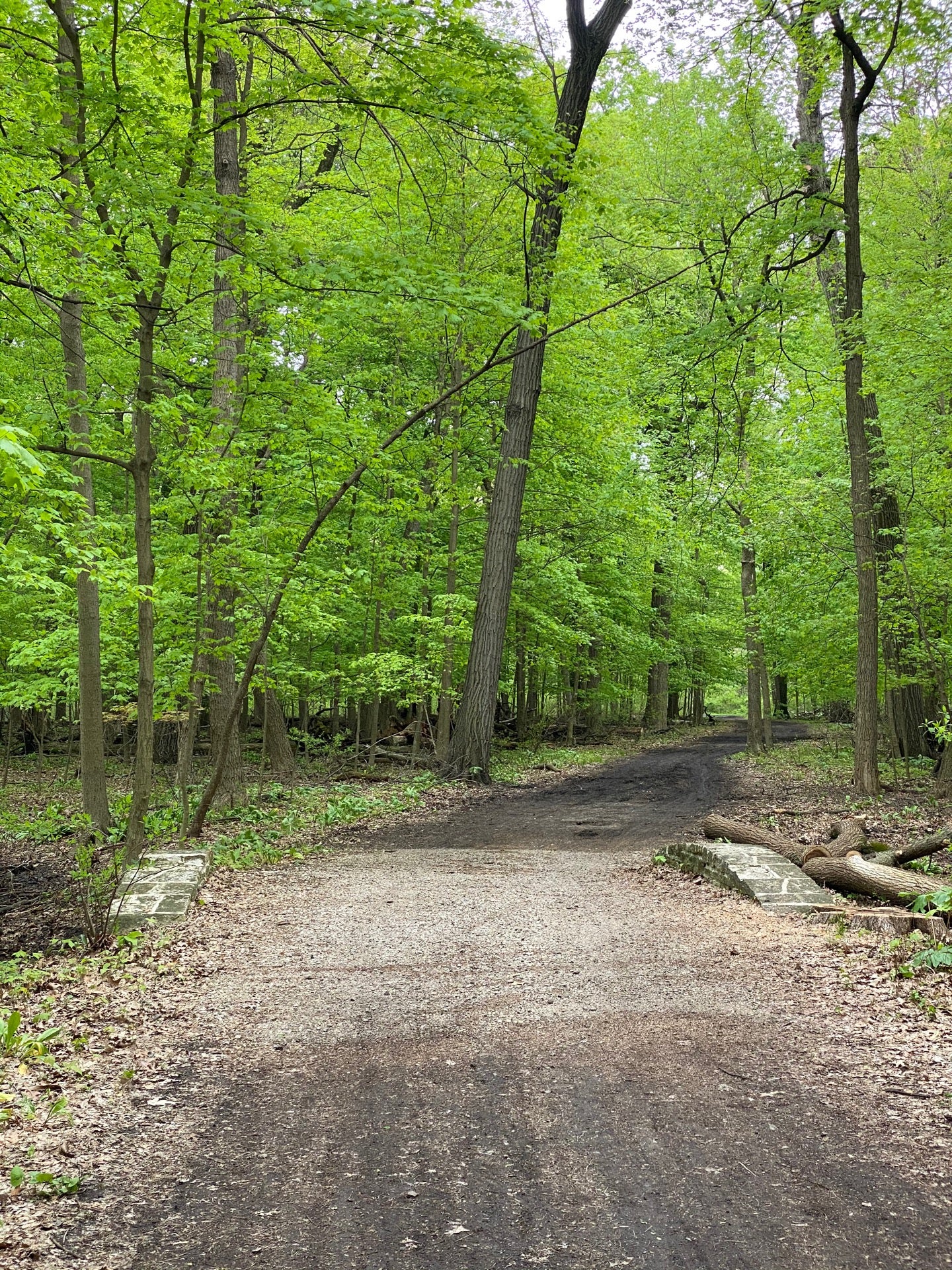 Chippewa Woods Forest Preserve 2651 S River Rd Des Plaines IL